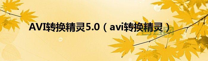 DivX和Xvid,OpenDivX的继承者
