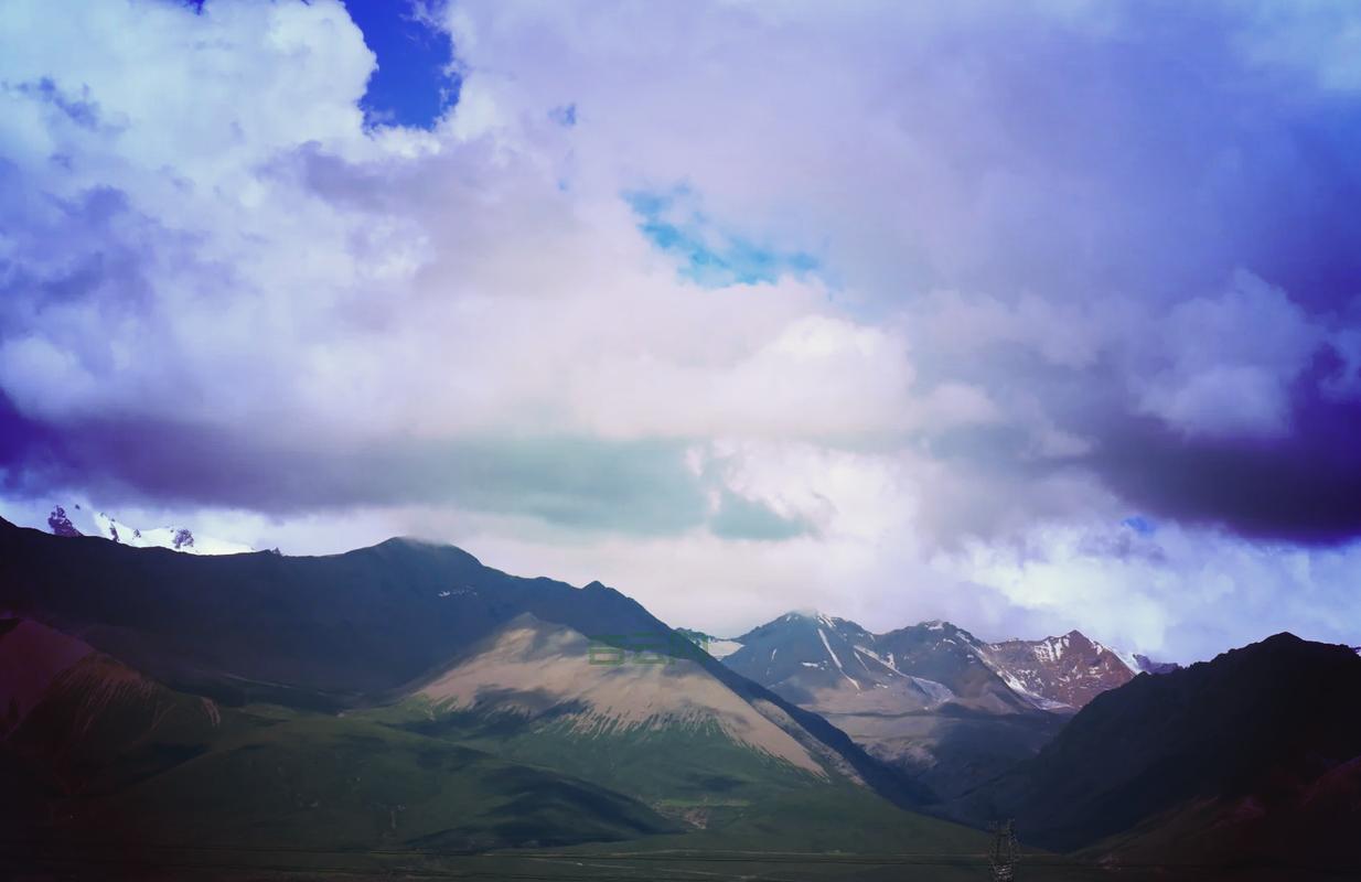 淘宝虚拟主机购买攻略:避坑指南