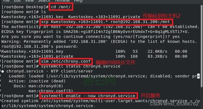 动态域名解析服务详解：企业网络访问的最佳解决方案