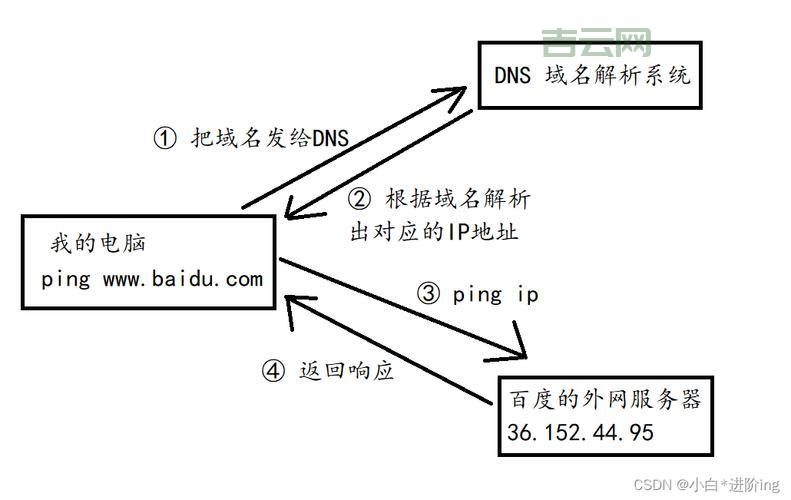 动态域名解析服务详解：企业网络访问的最佳解决方案