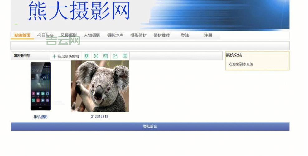 ASP.NET主机推荐：支持ASP.NET 2.03.54.0，适合各种网站搭建