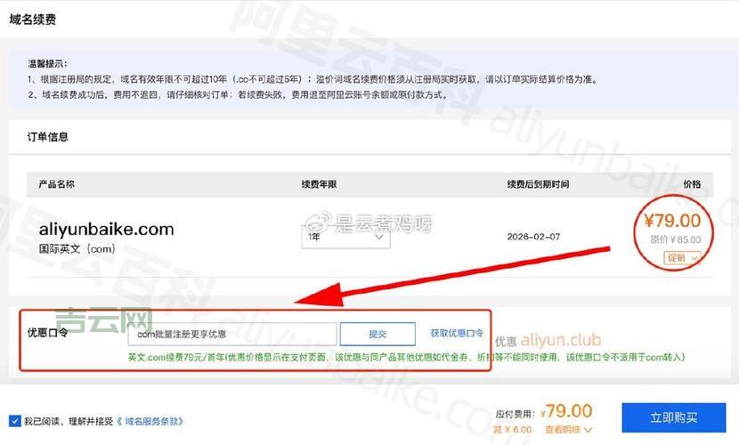 国际域名注册费用：价格对比及技巧