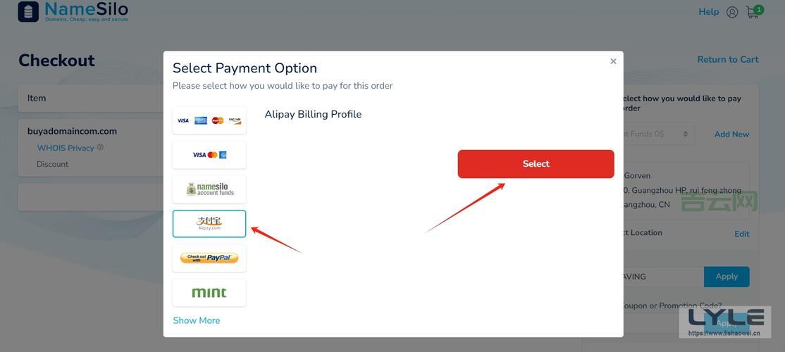 国际域名注册费用：价格对比及技巧