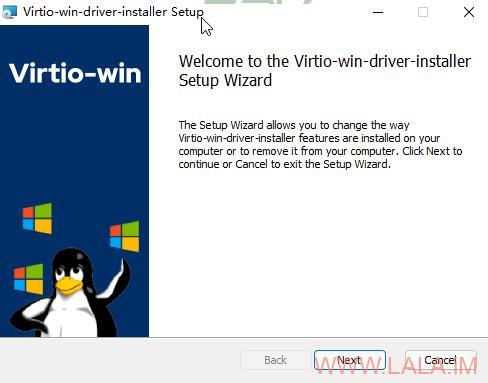 性价比超高的国外VPS小鸡推荐，助你轻松搭建服务器！