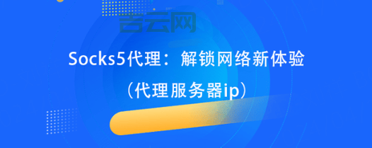 中国代理服务器网：代理服务，应有尽有