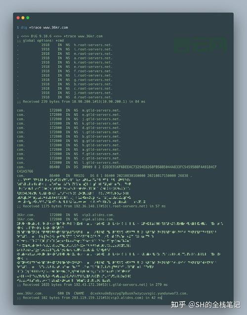 域名服务器的作用：网络世界中的“翻译官”