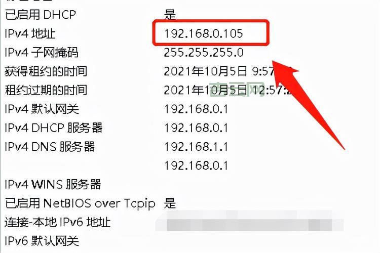 IP地址查询：地理位置、网络信息，一目了然