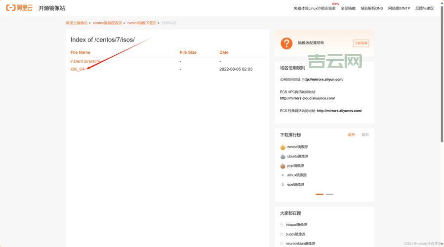 Linux虚拟主机入门:从安装到配置的全流程
