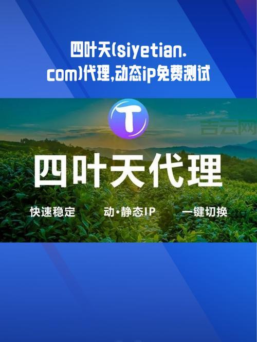 稳定可靠！企业级IP代理方案
