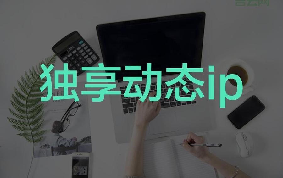 独享主机：独立IP，告别同IP影响