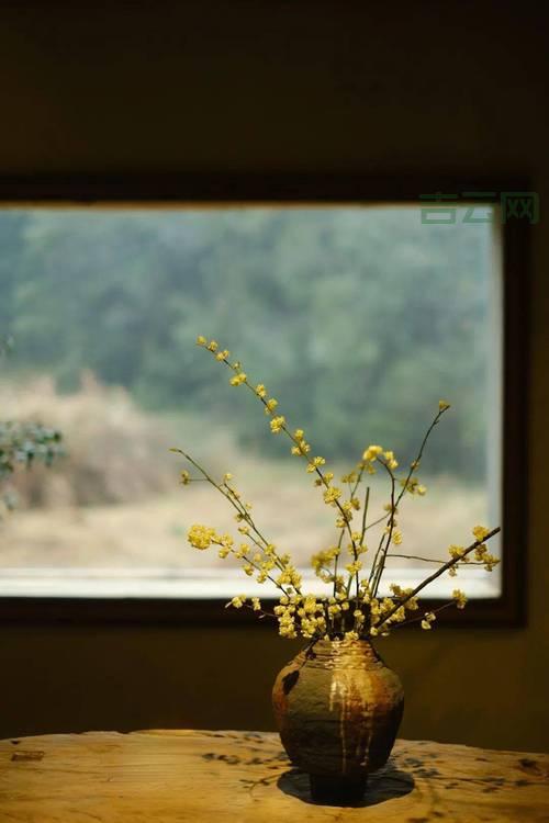 免费个人主页空间:申请后如何使用?