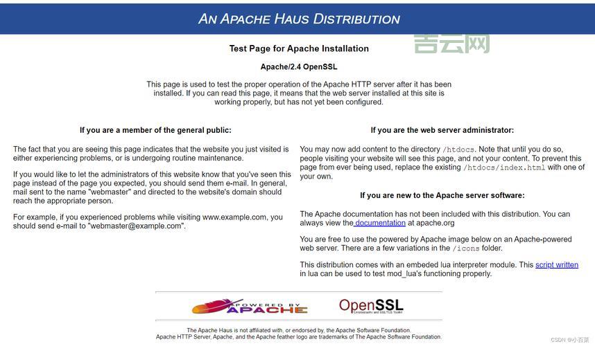 使用国外代理服务器软件:轻松解锁网络限制