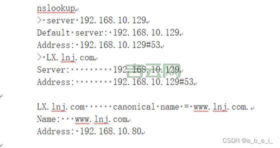 域名系统:揭秘网站背后隐藏的地址转换技术