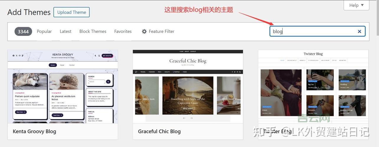 美国主机论坛交流：域名、支付工具讨论