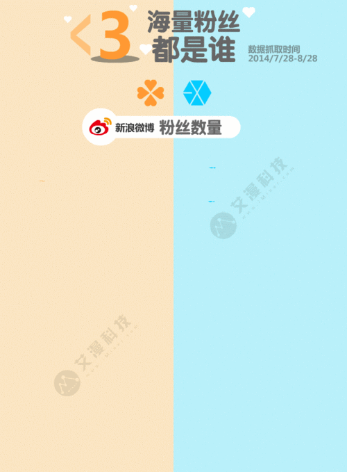 动态IP代理国内首选：海量IP资源，快速高效切换