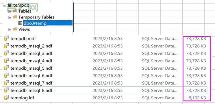 如何打开MDF文件?SQL数据库与光盘映像的双重用途解析
