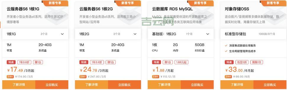 海外服务器租用价格详解:从百元到千元的选择