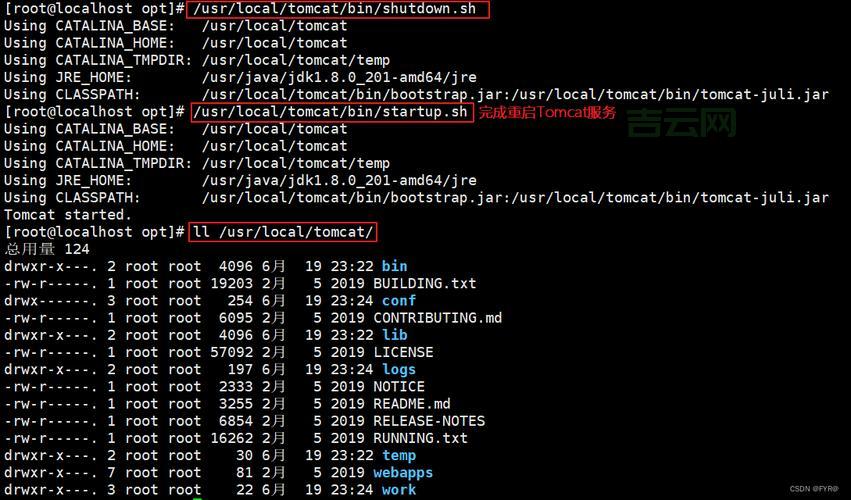 Linux虚拟主机：如何配置与优化您的网站性能