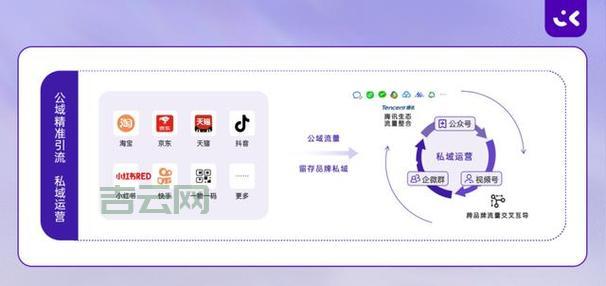 三拼域名的价值:从品牌建设到自然流量获取