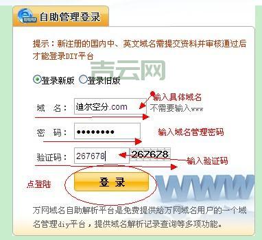如何使用万网控制面板高效管理您的域名