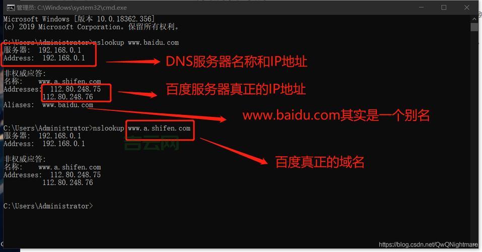 域名基础知识科普：如何选择和管理域名