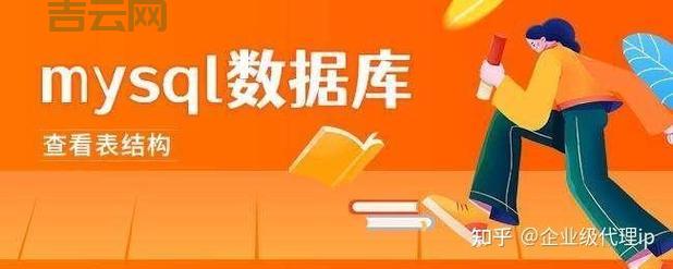 什么是代理IP地址：简单易懂，一文讲透代理IP
