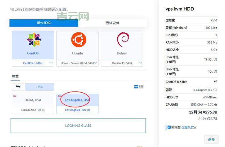 国外VPS服务评测：性价比高的热门推荐