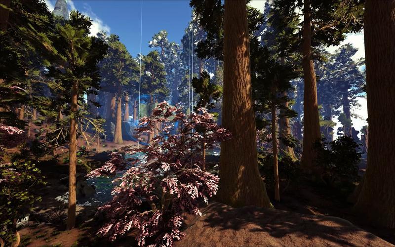 方舟服务器租用：多种模式任你选