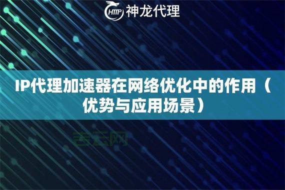 探索代理服务器网，畅享稳定快速的网络代理服务
