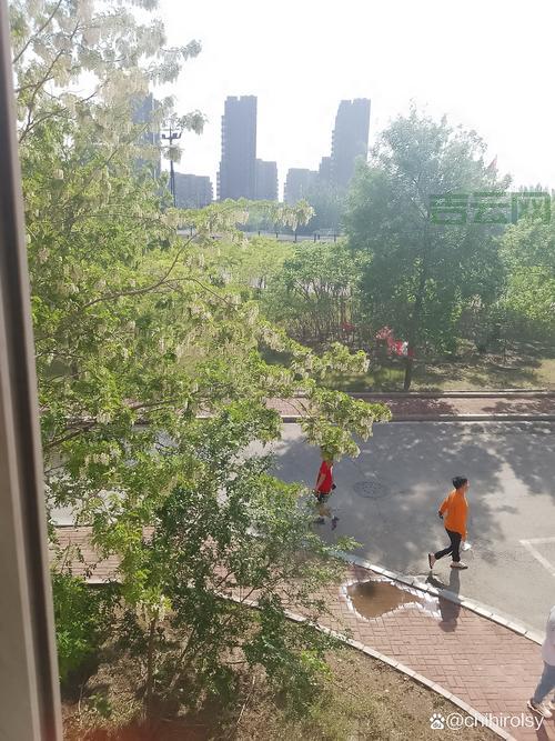 SiteApp建站好不好？看看过来人都是怎么评价的!