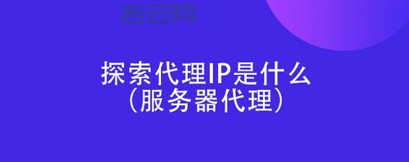 国内代理服务器IP：高性价比选择，提升网络访问效率