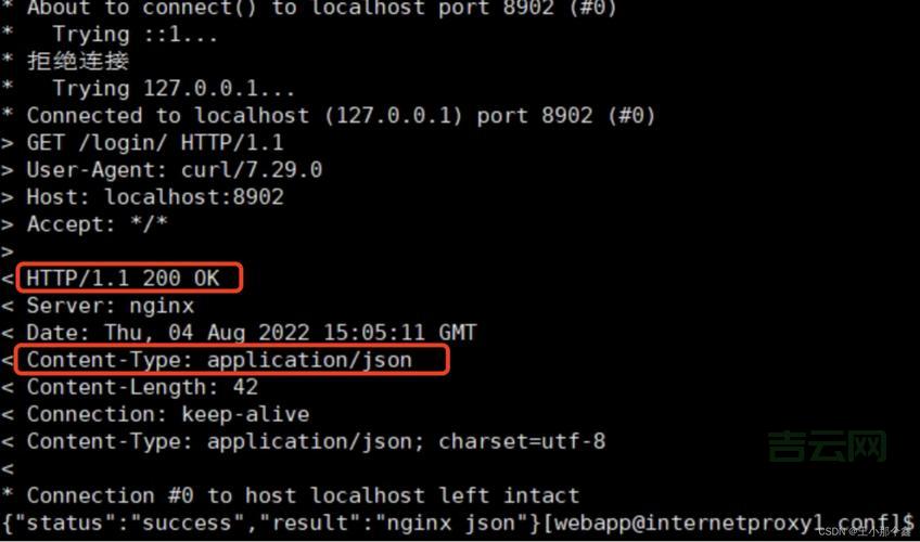 如何成功进行国际域名抢注：最佳实践与平台推荐