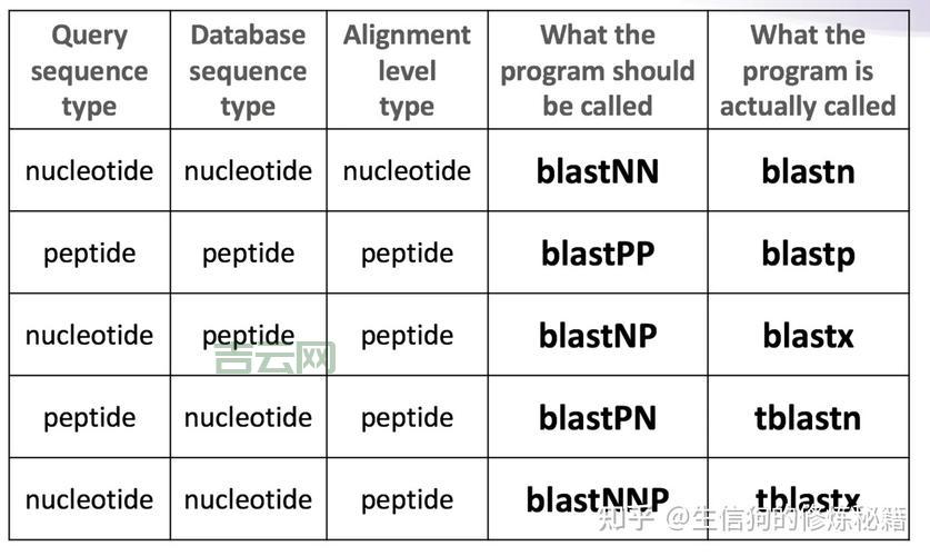 想用blastp比对序列？这个blastp教程你一定得看