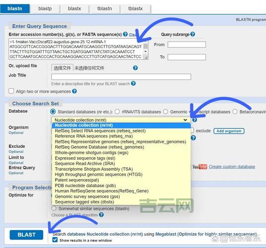想用blastp比对序列？这个blastp教程你一定得看