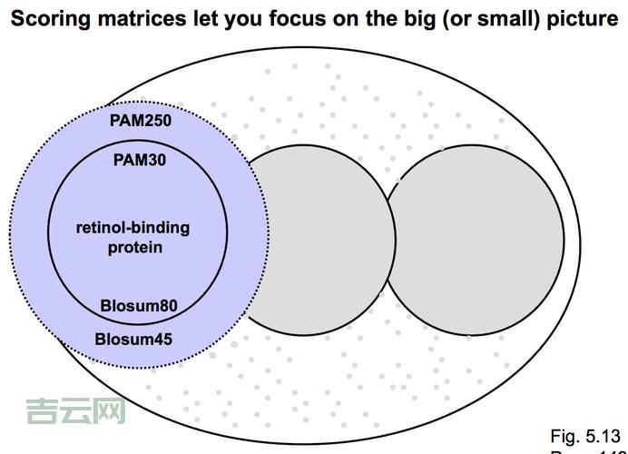 想用blastp比对序列？这个blastp教程你一定得看