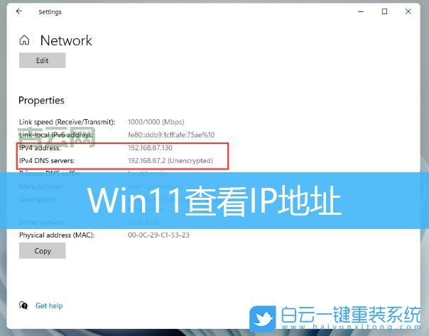 你的IP地址藏着什么秘密？一键查询揭晓