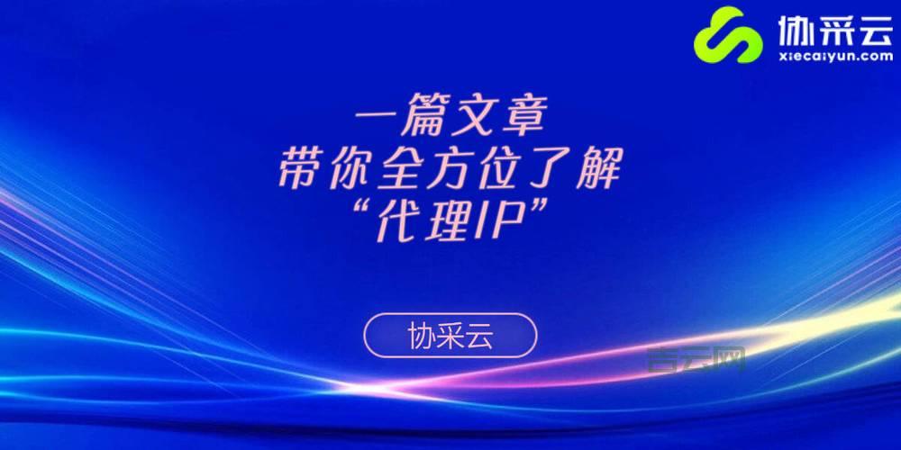 国内代理IP推荐：超高性价比服务