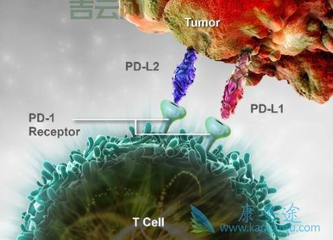 Nanosleep总是发生？教你几个方法有效避免！