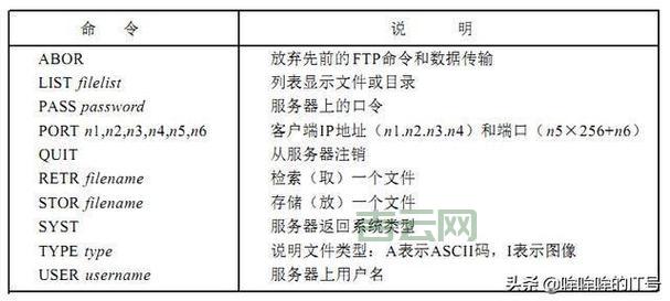 FTP服务器详解：高效管理与文件传输的最佳选择