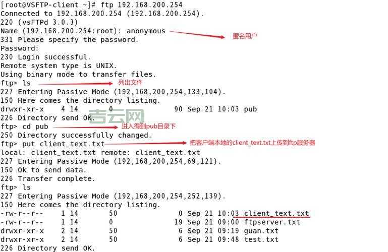 FTP服务器详解：高效管理与文件传输的最佳选择