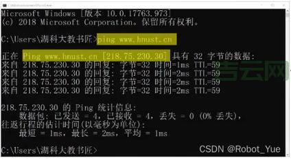 WANG域名：中文顶级域名新选择，便于记忆与推广