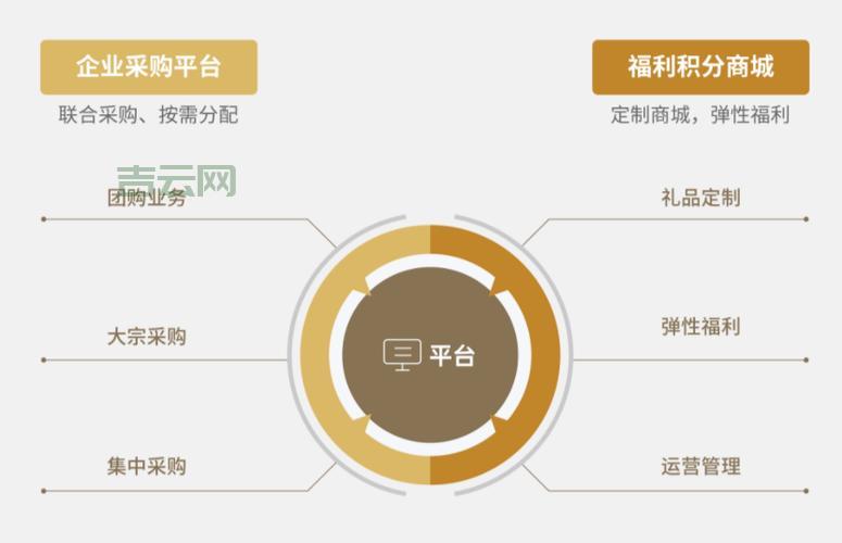 如何为SaaS系统选择合适的服务器：关键考量因素解析