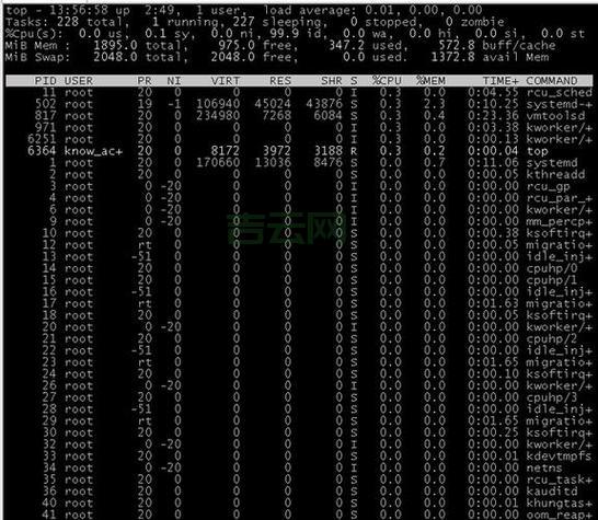 如何实时查看服务器状态，提升系统稳定性