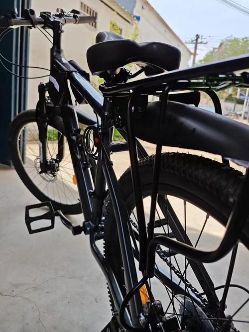 凤凰2008自行车和永久1.0哪个好？对比测评告诉你！