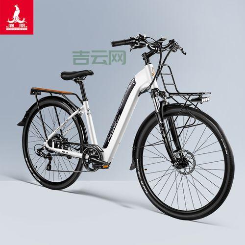 凤凰2008自行车和永久1.0哪个好？对比测评告诉你！