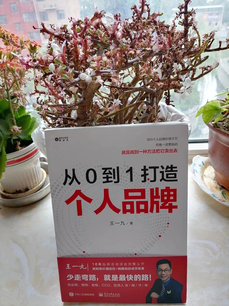 探索.me域名：个人与品牌的最佳选择