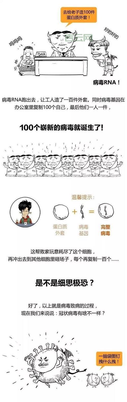 什么是“玩笑病毒”?看完你就明白了!