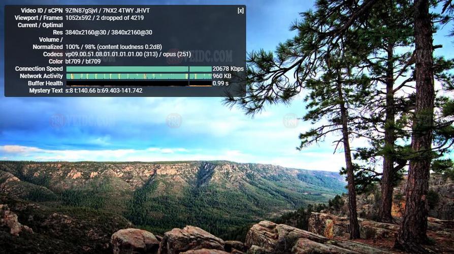 Vultr美国与日本机房分析：速度与稳定性全解析