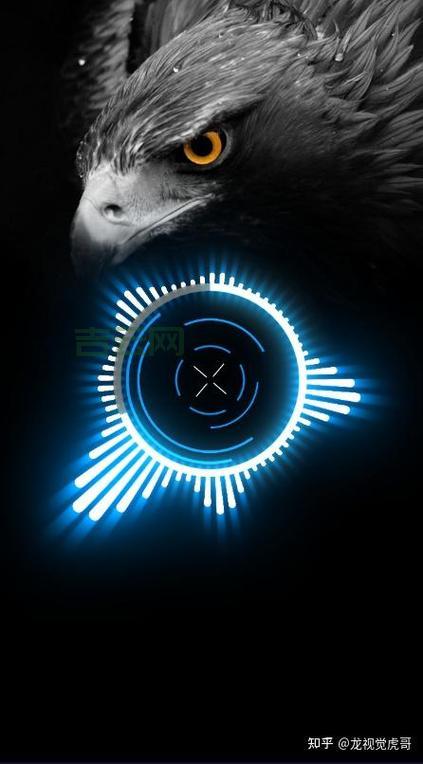 3dvia player怎么下载？超简单的安装教程来啦！