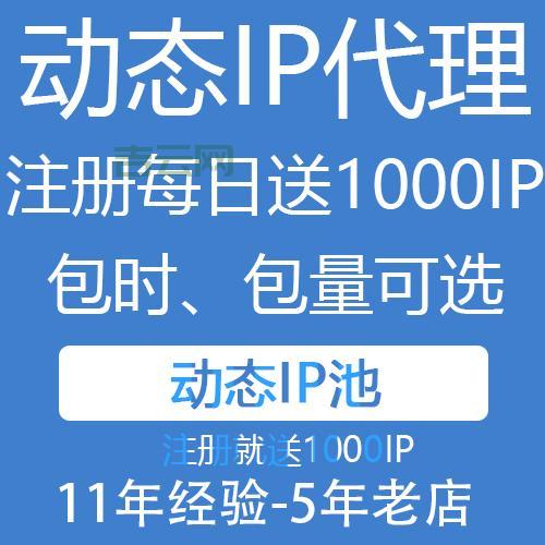 专业IP代理服务器软件：动态IP与静态IP全面支持